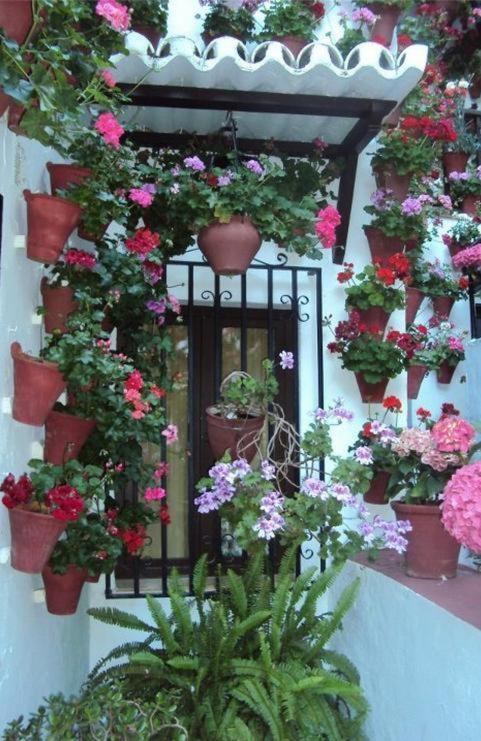 Hostal Los Claveles Баэна Экстерьер фото